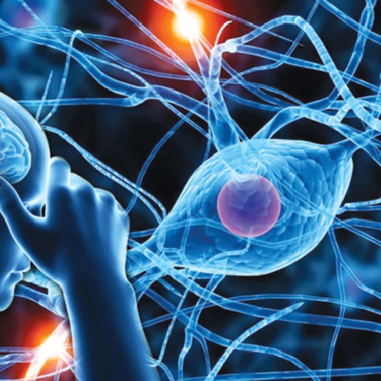 Neurological Reasons For Muscle